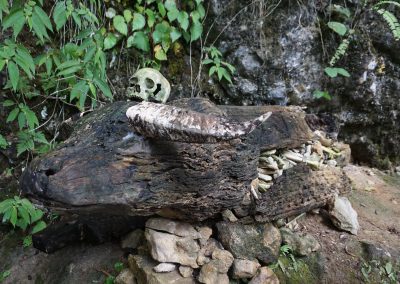 Mission Indonesia 2018